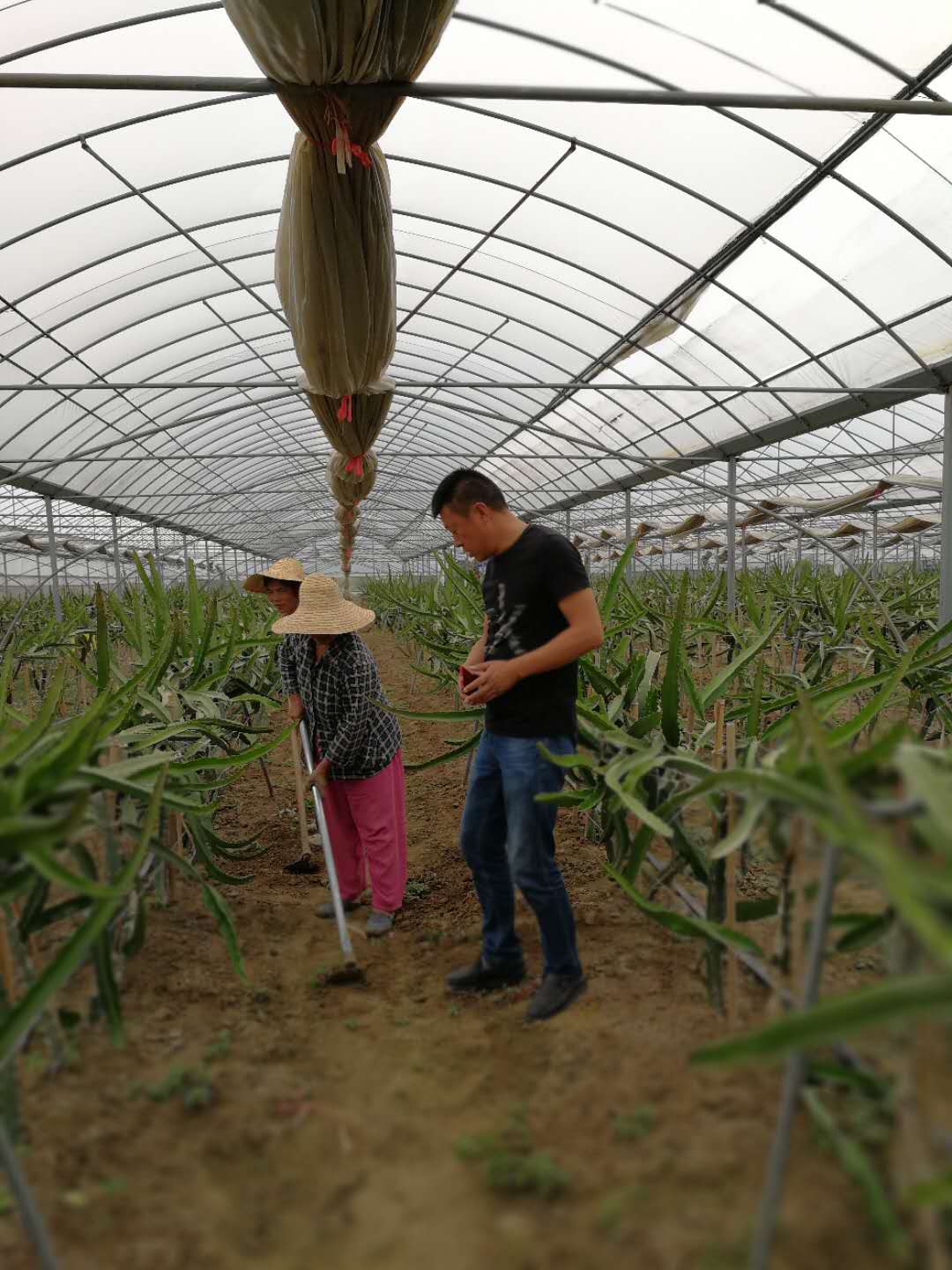 西二鋪鄉:集中火力 全員發動 堅決打好打贏脫貧摘帽攻堅戰.jpg
