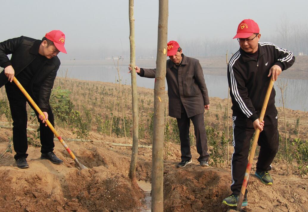 QQ截圖20190310152046.jpg