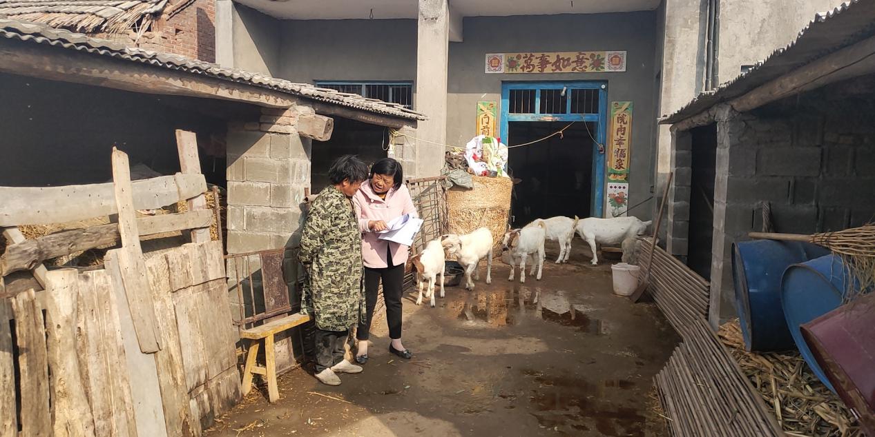 圖片1.jpg