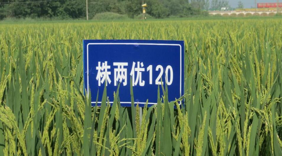 QQ؈D20210625102045.jpg